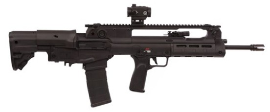 Hellion, 5.56 NATO, 18" Threaded Barrel, CTS-103 Red/Green Dot, Flip Up Sights, Sling, Tungston, (2) 30-rd GEAR UP