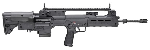 Hellion, 5.56 NATO, 20" Threaded Barrel, CTS-103 Red/Green Dot, Flip Up Sights, Sling, Black (2) 10-rd GEAR UP