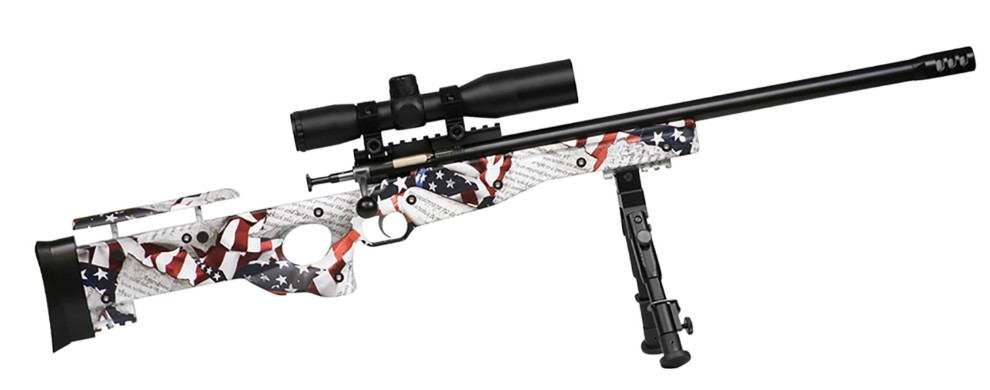 Crickett Precision Youth Package, .22LR, 16.12" TB, 4x28mm Combat Scope, Blued/Amendment