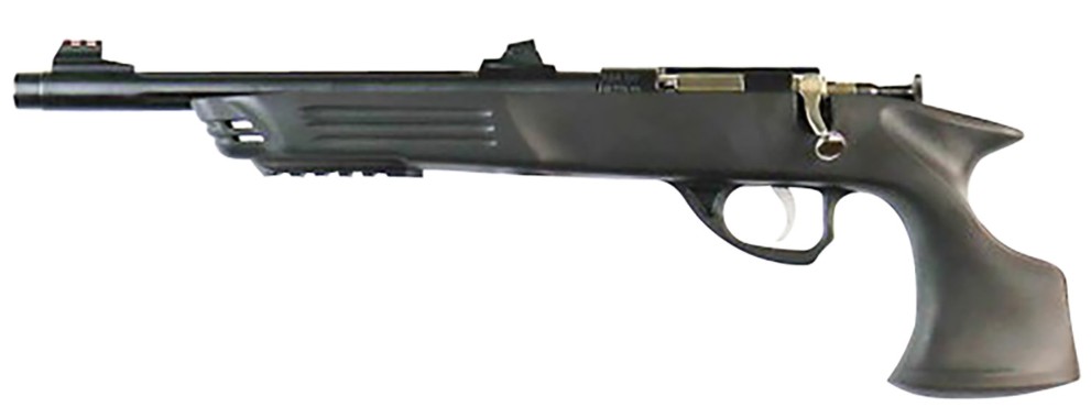 Crickett Adult Pistol, .22 Mag, 10.50" Threaded Barrel, William Fire Sights, Blued/Black