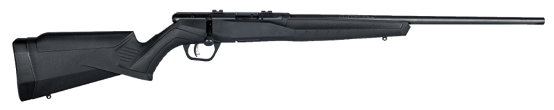 B17 F, .17HMR, 21" Barrel, Black, Black Synthetic, AccuTrigger, 10-rd