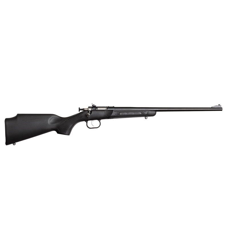 Crickett Youth, .22LR, 16.125" Barrel, Blued/Black