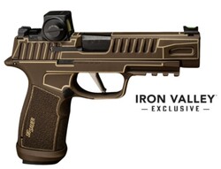 P365 FUSE, 9mm, 4.3" Barrel, OR, Romeo-RS Compact 3MOA, Anime Chocolate, X Grip, (1)17 & (2)21rd, IVS