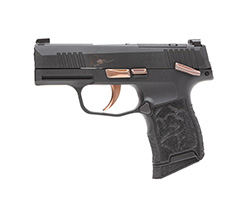 ROSE, P365-380, .380 Auto, 3.1" Barrel, ROSE Package, Manual Safety, Optics Ready, Black, (2) 10-rd