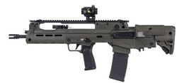 Hellion, 5.56 NATO, 16" Threaded Barrel, CTS-103 Red/Green Dot, Flip Up Sights, Sling, ODG, (2) 30-rd GEAR UP