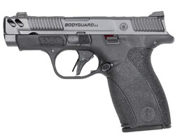 PC Bodyguard 2.0 Carry Comp, .380 ACP, 3.1" Ported Barrel, No Thumb Safety, Grey, Black, (1) 10 & (1) 12-rd