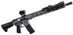 Grey Night AR-15 Bundle, 5.56 NATO, 16" TB, M-LOK, ProTac RL & Vortex Red Dot, Grey, 30-rd