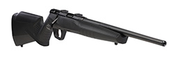 B17 F Compact, .17HMR, 18" Barrel, Black, Black Synthetic, AccuTrigger, 10-rd
